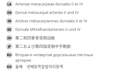 翻译