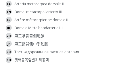 翻译