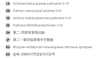 翻译
