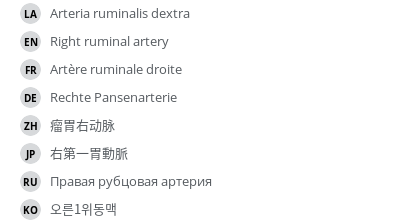 翻译