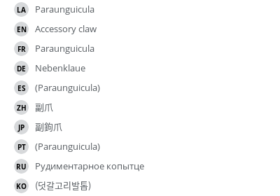 翻译