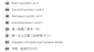 翻译