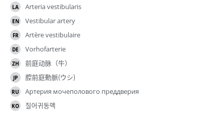 翻译