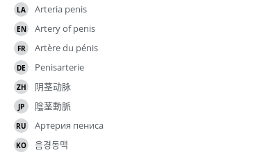翻译
