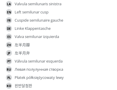 翻译