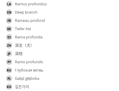 翻译
