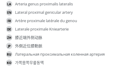 翻译