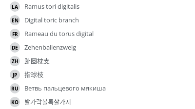 翻译