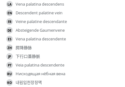 翻译