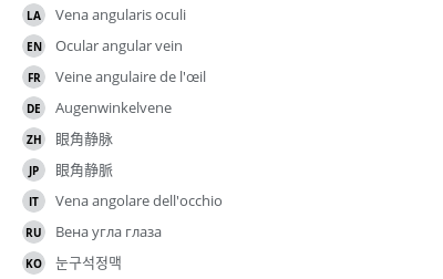 翻译
