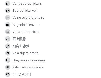 翻译