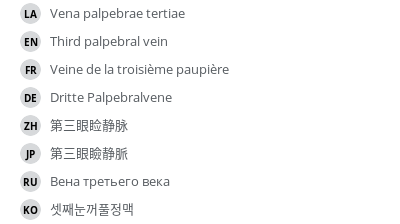 翻译