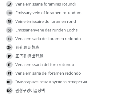 翻译