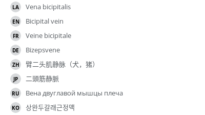 翻译