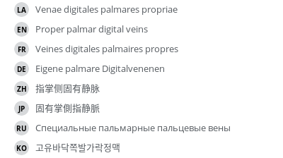 翻译