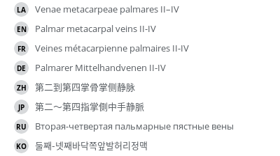 翻译