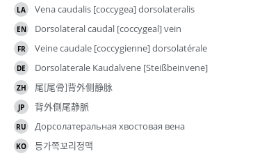 翻译