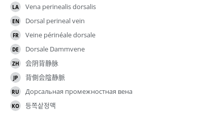 翻译