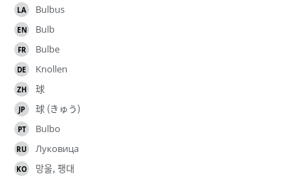 翻译