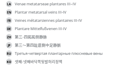 翻译