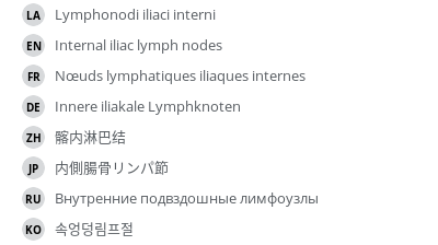 翻译