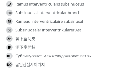 翻译