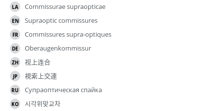 翻译