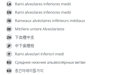 翻译