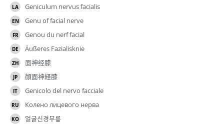 翻译