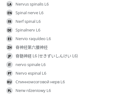 翻译