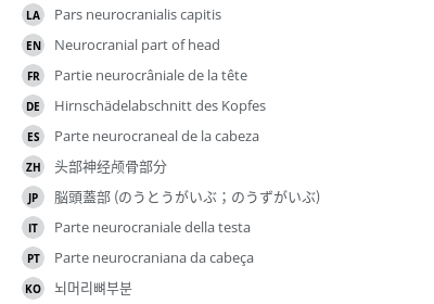 Translations