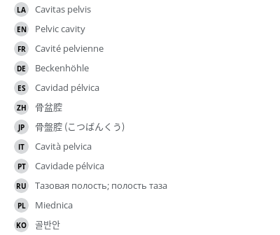 Translations