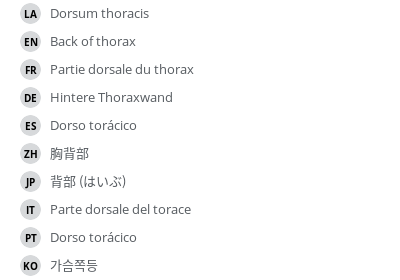 Translations