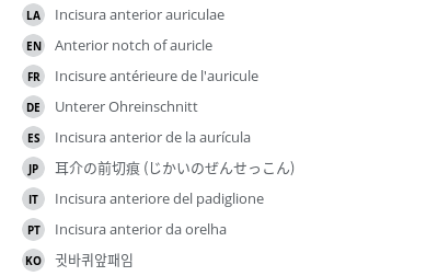 Translations