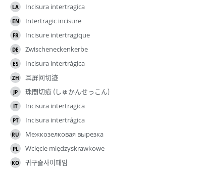 Translations