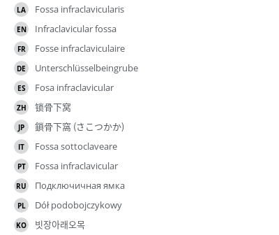 Translations