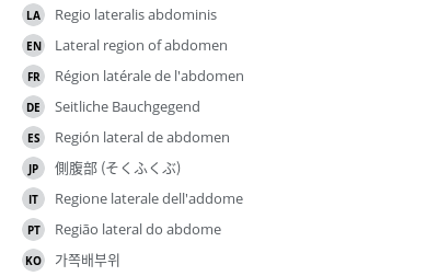 Translations
