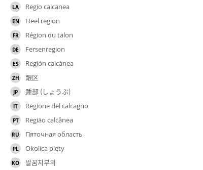 Translations