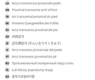 Translations