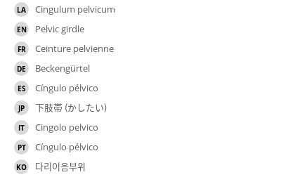 Translations