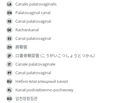 Translations