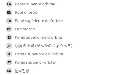 Translations