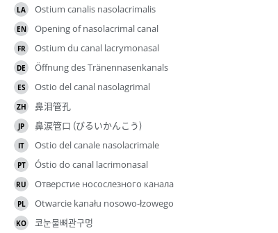 Translations