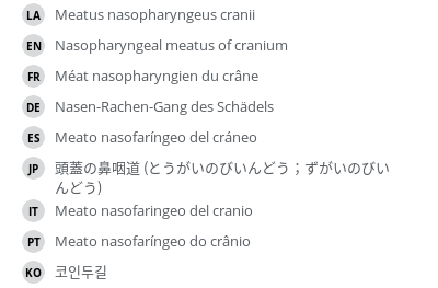 Translations