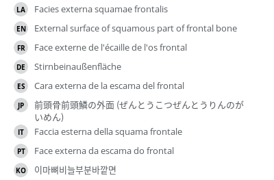 Translations