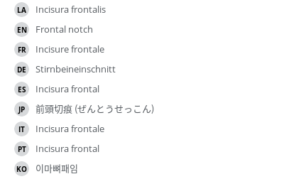 Translations