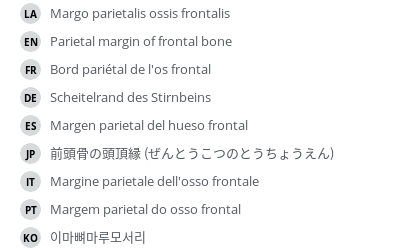 Translations