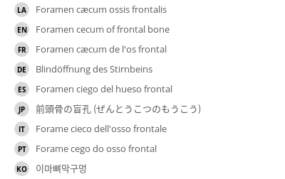 Translations