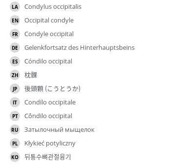 Translations