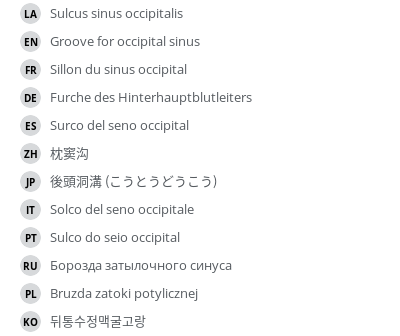 Translations